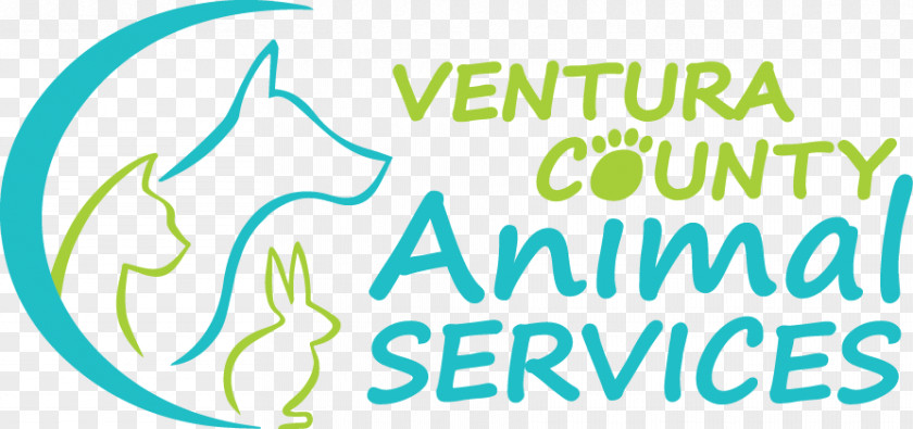 August 15th Ventura County Animal Services Shelter Dog Volunteering PNG