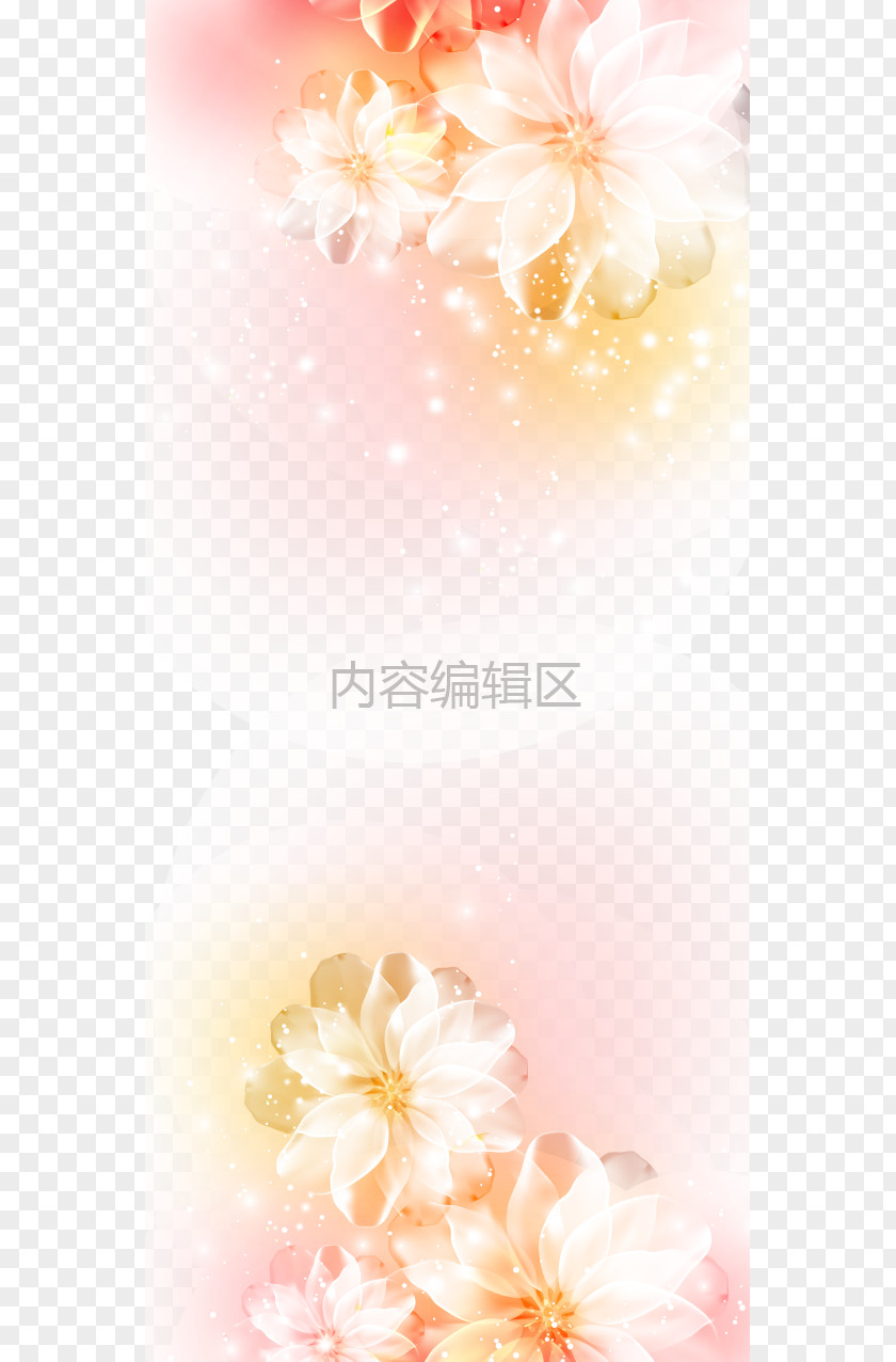 Colorful Lotus Chin Template PNG
