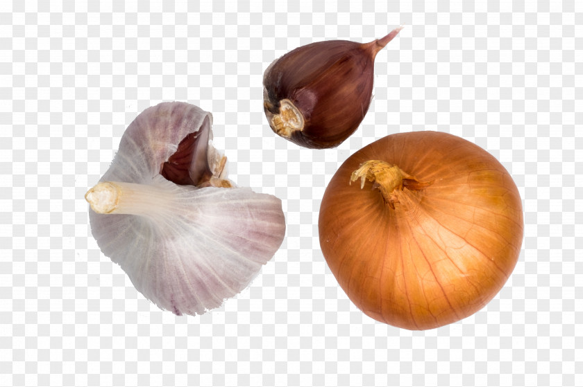 Garlic Onion Yellow Shallot Organic Food Spice PNG