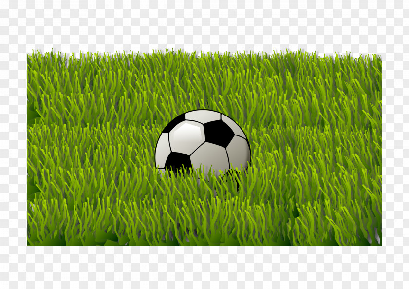 Grass Football Serie C Sporting Goods PNG