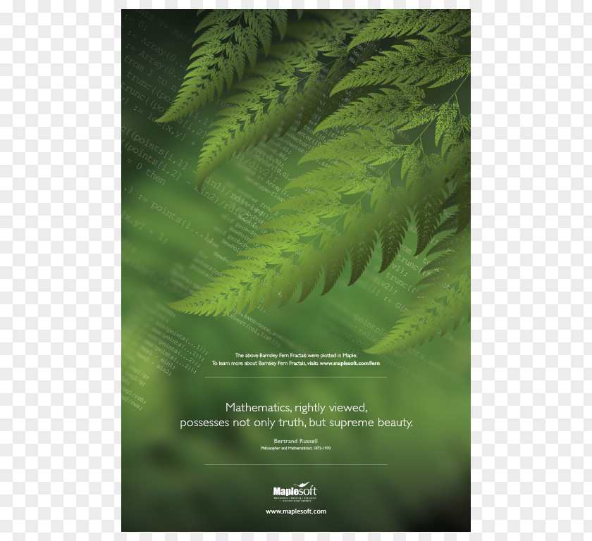 Mathematics The Principles Of Fern Maple Poster PNG