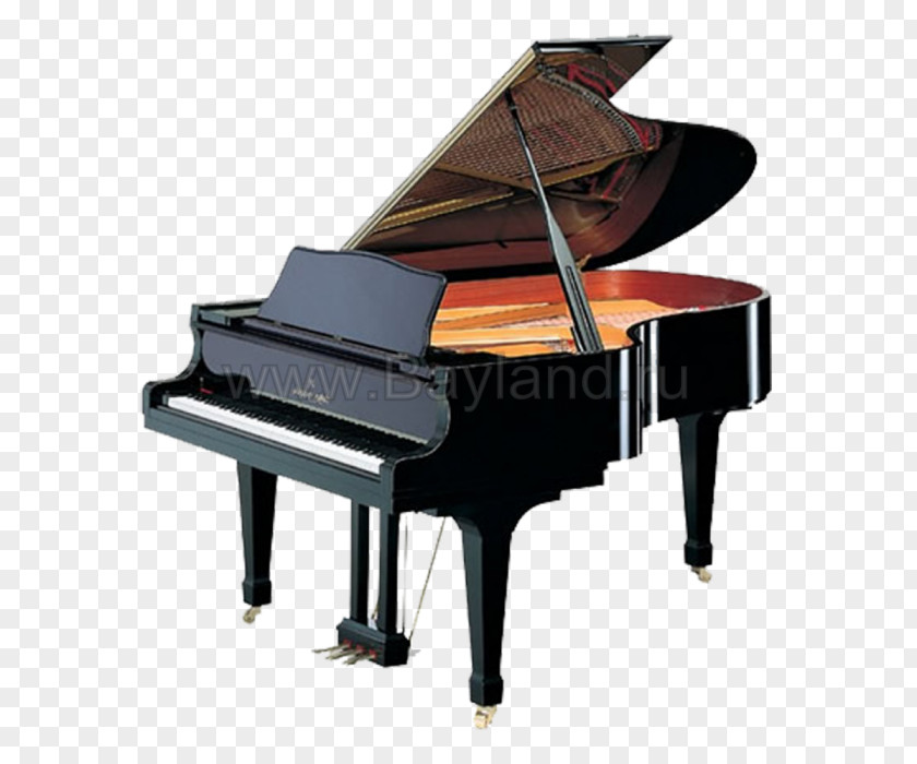 Piano Grand Kawai Musical Instruments Blüthner Grotrian-Steinweg PNG