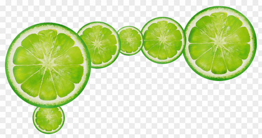 Plant Lemonlime Key Lime Green Citrus Persian PNG