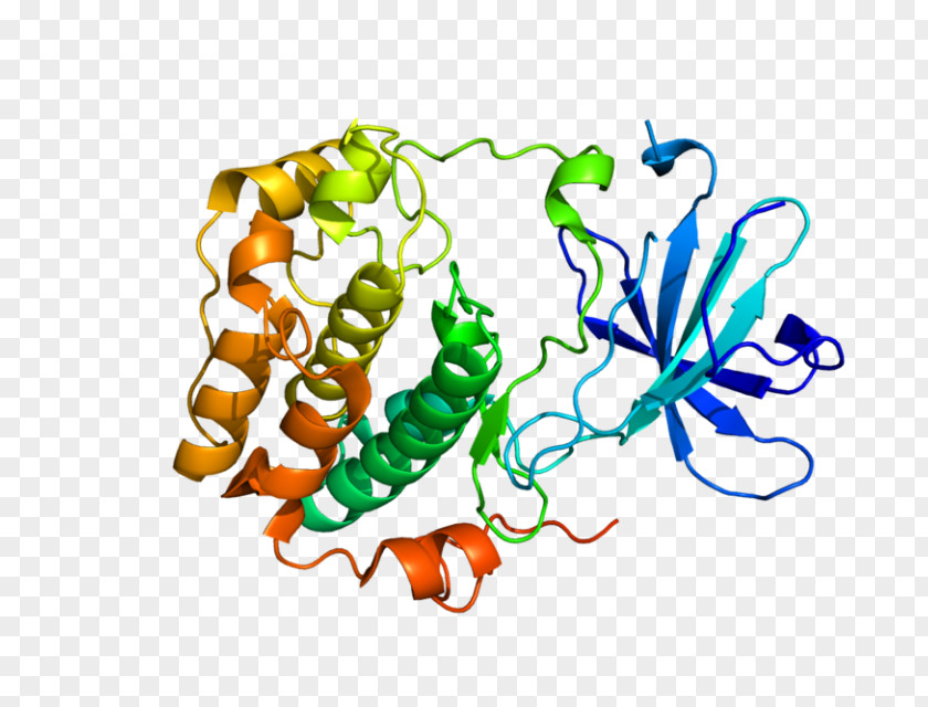Protein Kinase SGK1 Enzyme PNG