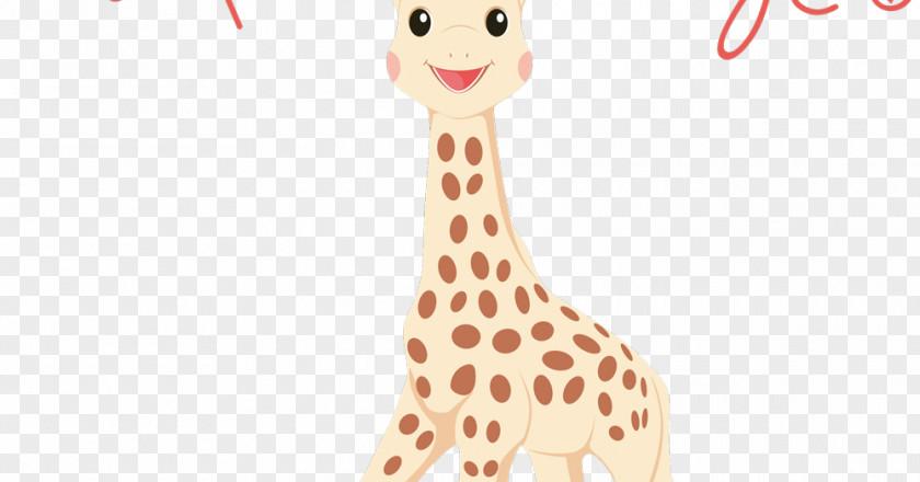 Toy Sophie The Giraffe Infant Vulli S.A.S. And Friends PNG