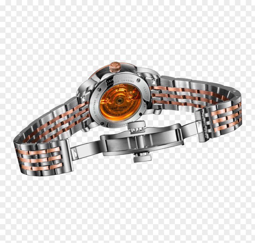 Watch Strap Bracelet Metal PNG