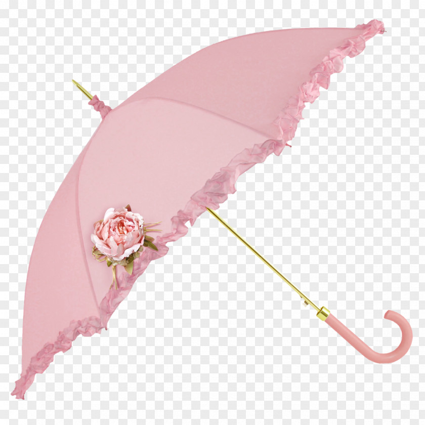 Wedding Frames Umbrella Paper Flower Pink PNG