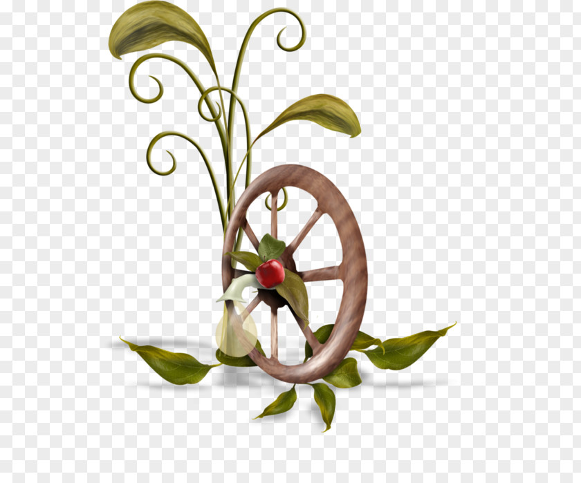 Anthurium Plant Stem Flowers Background PNG