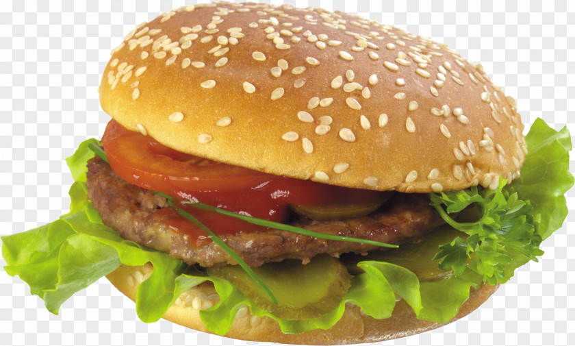 Bacon Hamburger Chicken Sandwich Cheeseburger French Fries Fast Food PNG