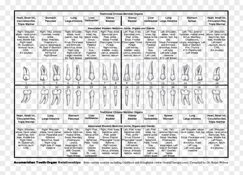 Document Drawing Detoxification Philosophy /m/02csf PNG