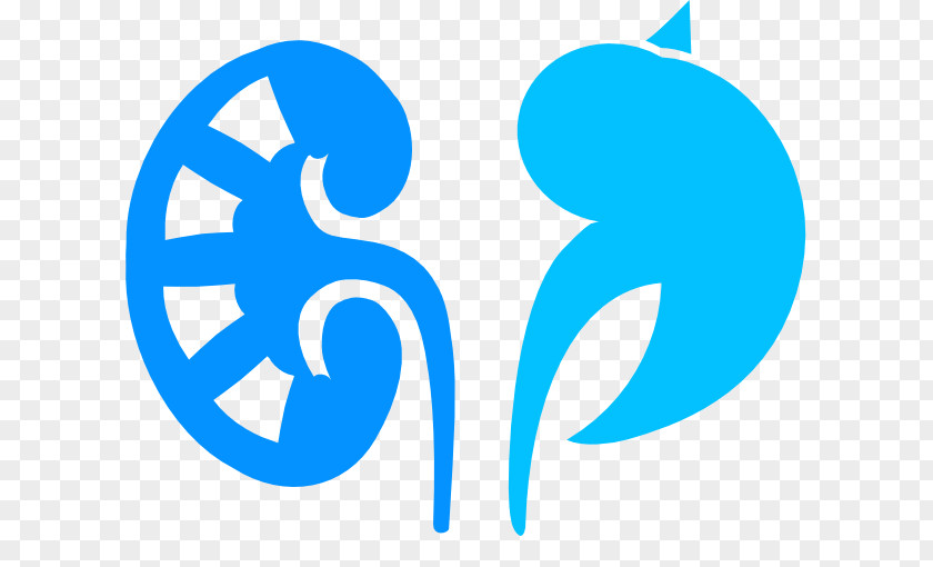 Kidney Nephrology Disease Contrast-induced Nephropathy Dialysis PNG