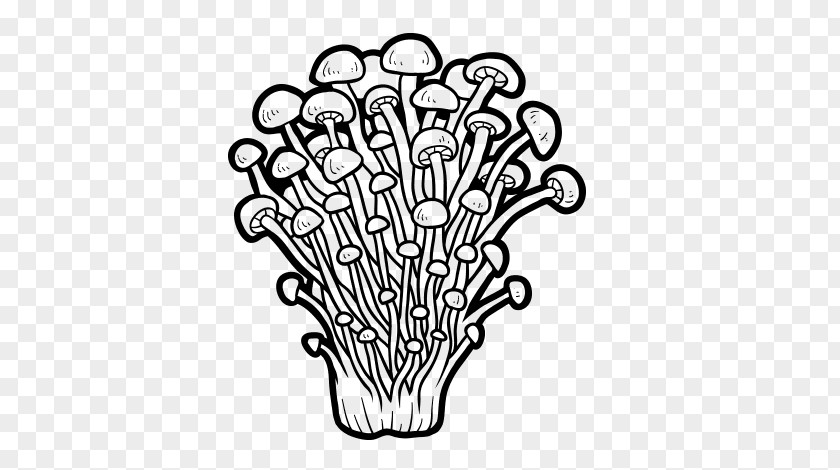 Mushroom Enokitake Edible Fungus Clip Art PNG