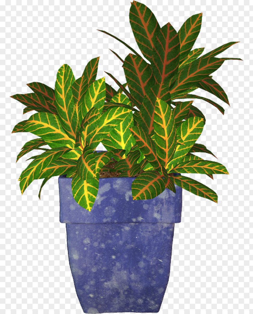 Plant Photography Flowerpot Clip Art PNG