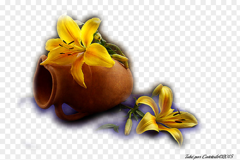 Vase Still Life Photography Flower Petal PNG