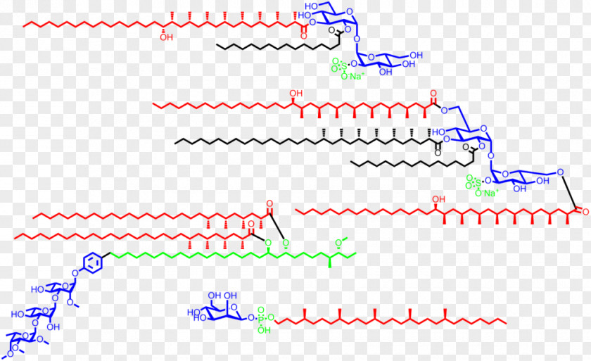 Chemical Biology Line Point Angle Font PNG