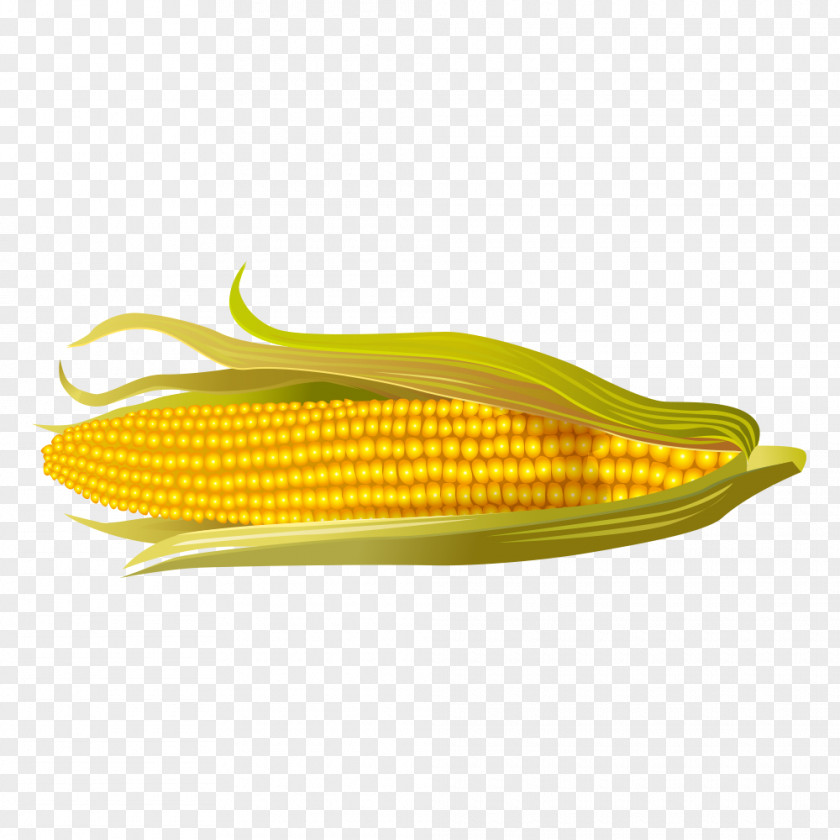 Corn On The Cob Maize Restaurant PNG