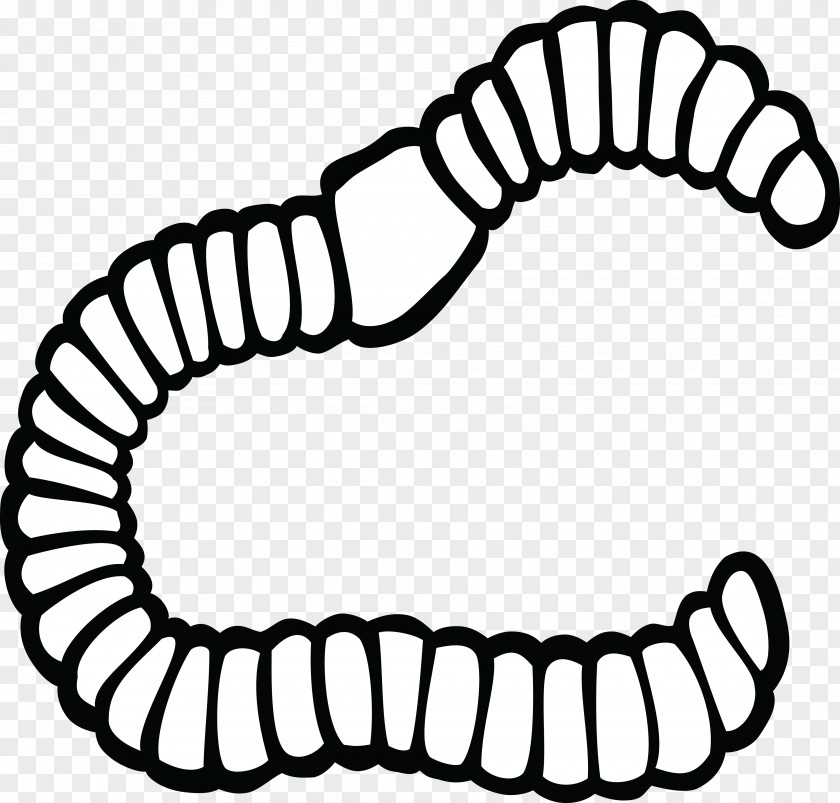 Scared Earthworm Clip Art PNG