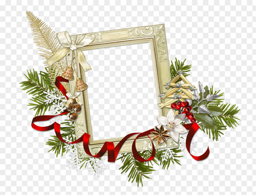 Tropical Borders Christmas Clothing Picture Frames Handicraft PNG