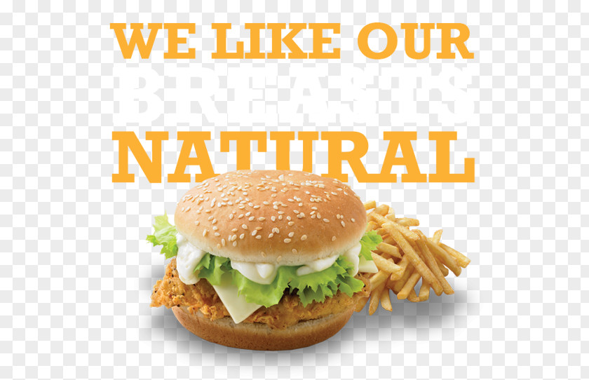 Design Salmon Burger Cheeseburger Fast Food PNG