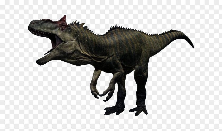 Dinosaur Allosaurus Torvosaurus Carnotaurus Image PNG
