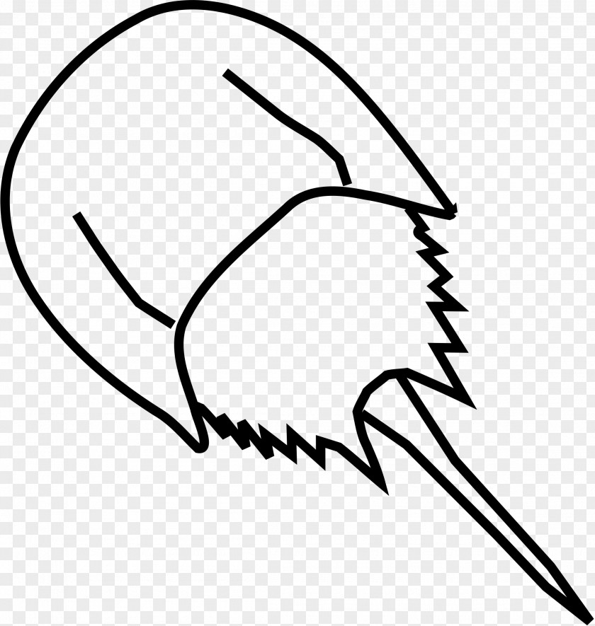 Horseshoe Crab Clip Art PNG