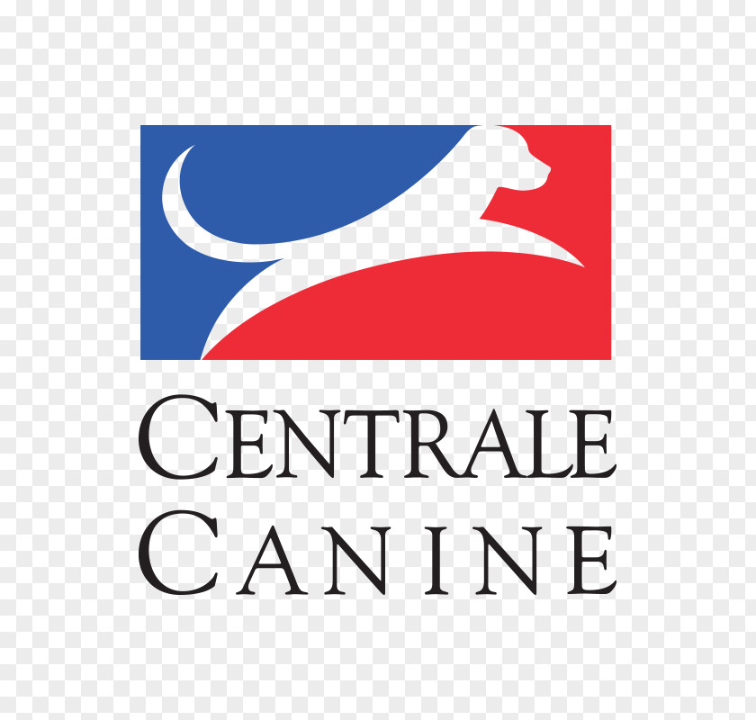 Pets Material Plane Pointer Belgian Shepherd Société Centrale Canine Malinois Dog Breeding PNG