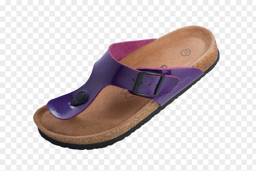 85 Slipper Shoe Footwear Lilac Purple PNG