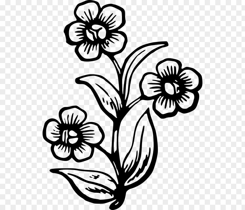 Pens Vector Drawing Stencil Clip Art Image Wildflower PNG