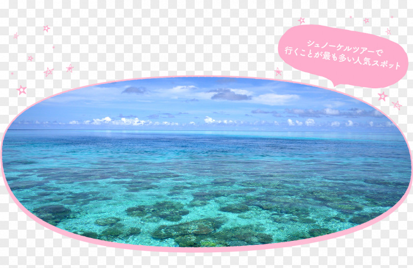 Water Shore Ocean Resources Turquoise PNG