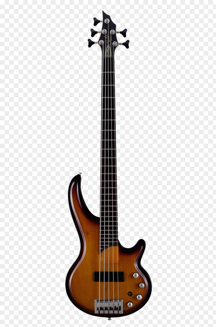 Bass Guitar Cort Guitars Musical Instruments String PNG