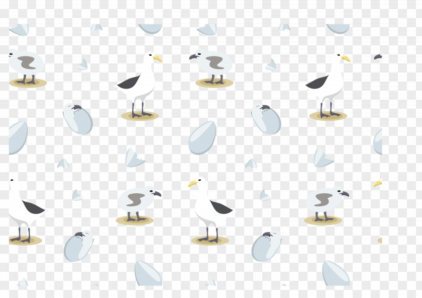 Beach Albatross Vector Collection Euclidean PNG