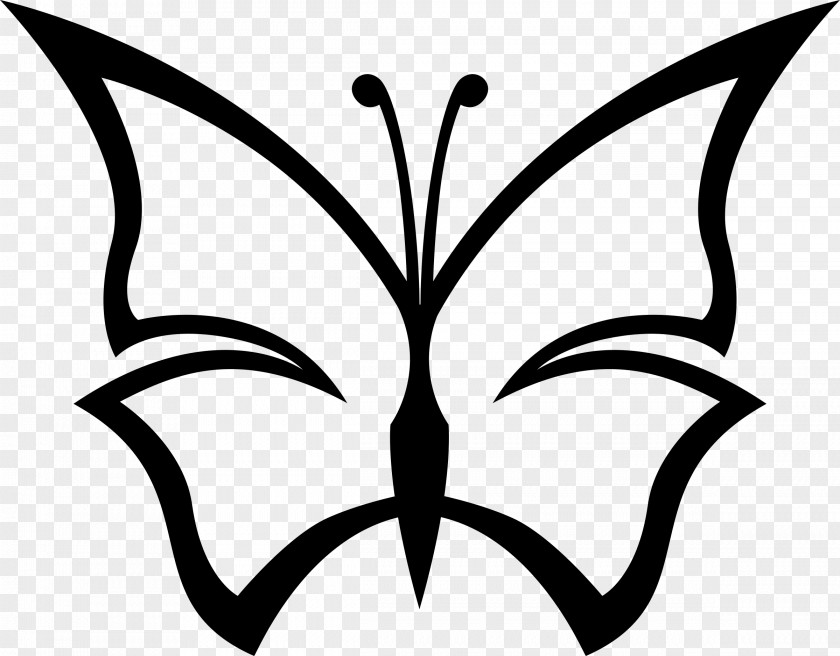 Butterfly Line Art Clip PNG