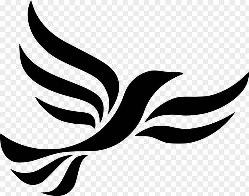 Liberal Democrat Voice United Kingdom General Election, 2010 Welsh Democrats Sheffield Hallam Cheadle PNG