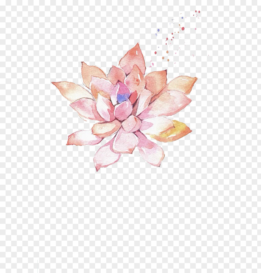 Lotus Watercolor Painting Succulent Plant Illustration PNG