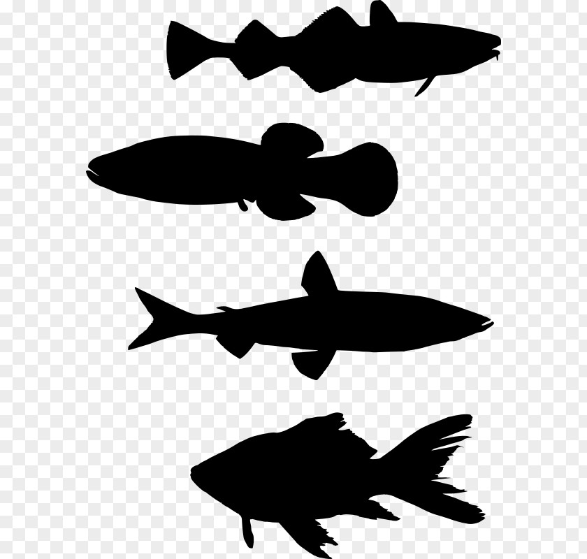 Shoal Fishing Silhouette Clip Art PNG