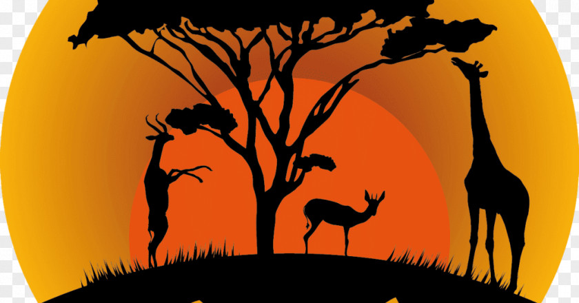 Silhouette Tarangire National Park Serengeti Safari Graphics PNG