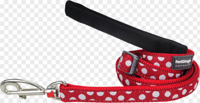 Spotted Dog Leash Dingo Red Puppy PNG