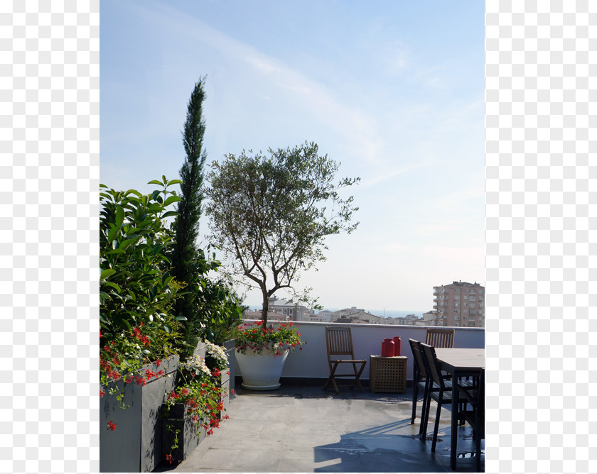 Tree Roof Shade Backyard Property PNG