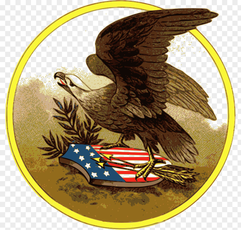 American Eagle Bald Download Clip Art PNG