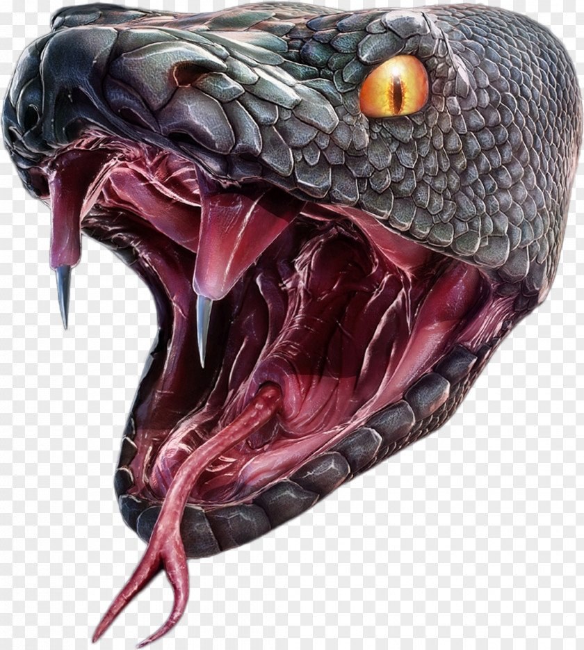 Anaconda DeviantArt Snake Painting Hollywood PNG