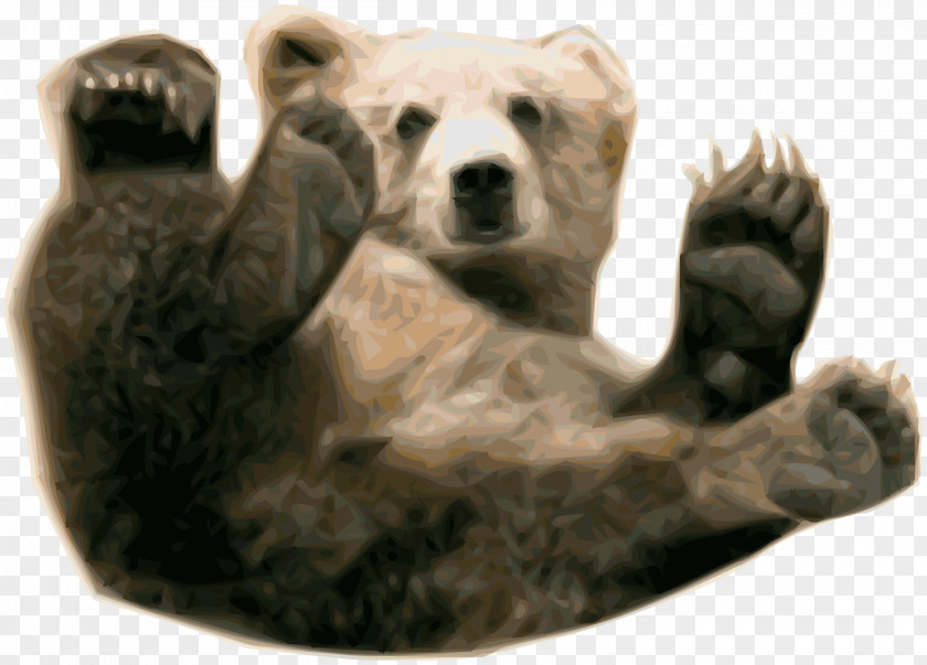 Bear Polar Brown Grizzly PNG
