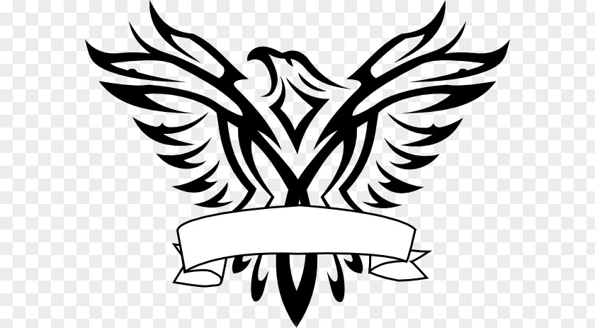 Black Eagle Cliparts Bald Logo Black-and-white Hawk-eagle Clip Art PNG