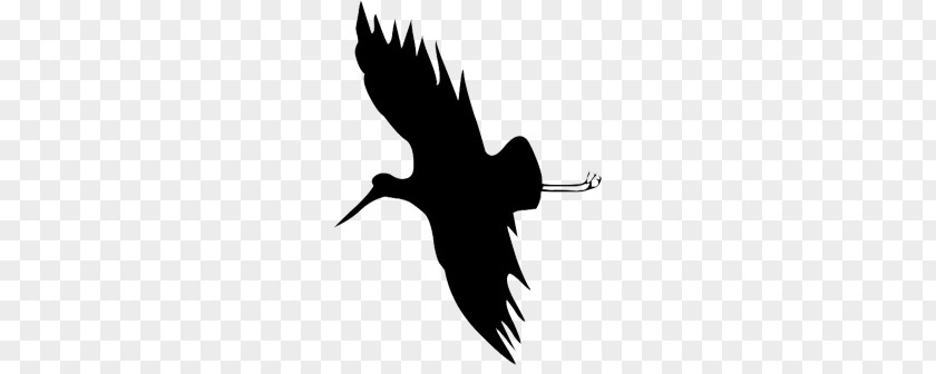 Stork Silhouette Crane Bird Clip Art PNG