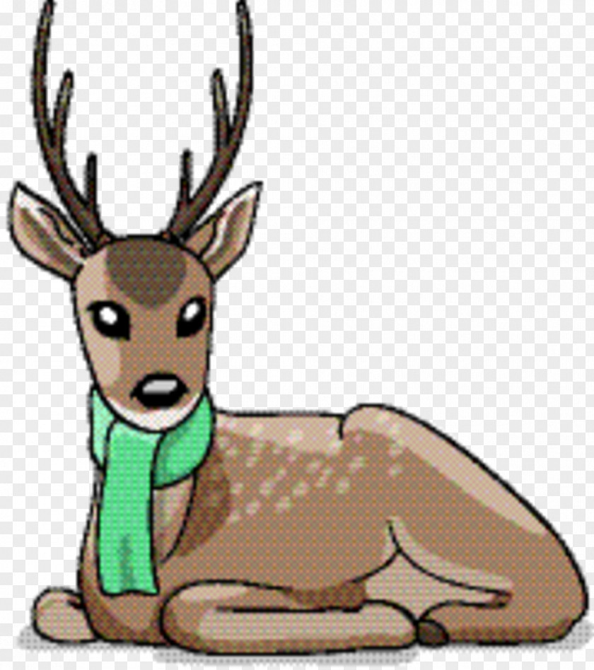 Whitetailed Deer Elk Reindeer Cartoon PNG