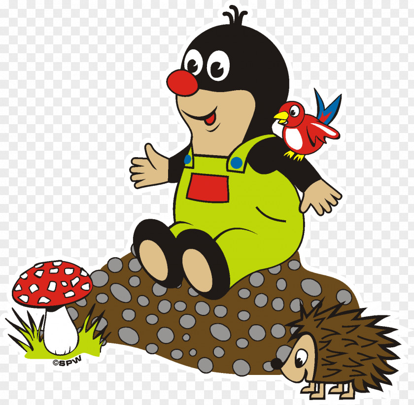 Igel Vertebrate European Mole Talpidae Clip Art PNG