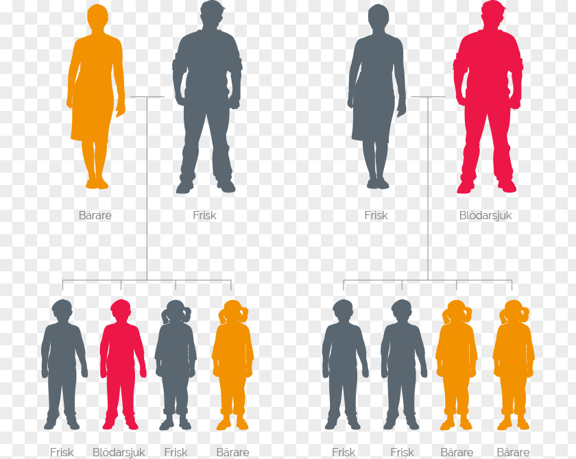 Mutation Haemophilia Genetics YazKampi Graphic Design PNG