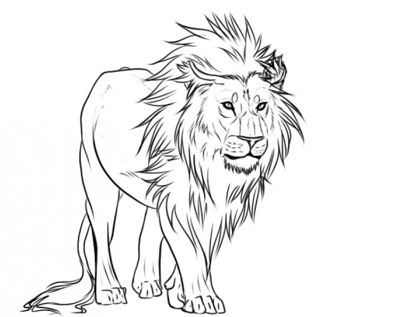 Evil Tree Cliparts Lion Drawing Pencil Art Sketch PNG