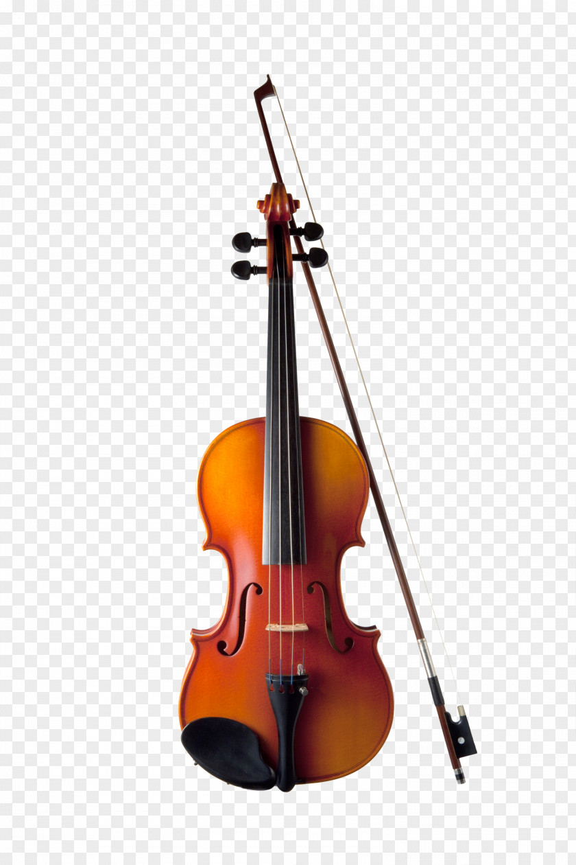 Musical Instruments Violin PNG