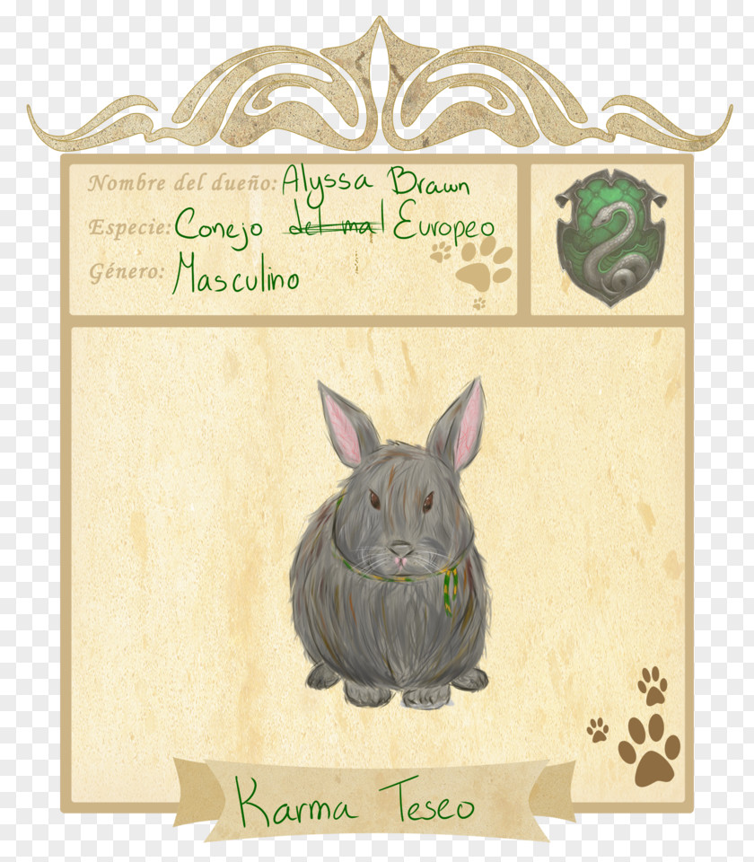 Rabbit Domestic Easter Bunny Hare Pottermore Limited PNG