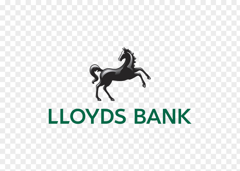 Bank Lloyds Private Banking Logo Balance Transfer PNG
